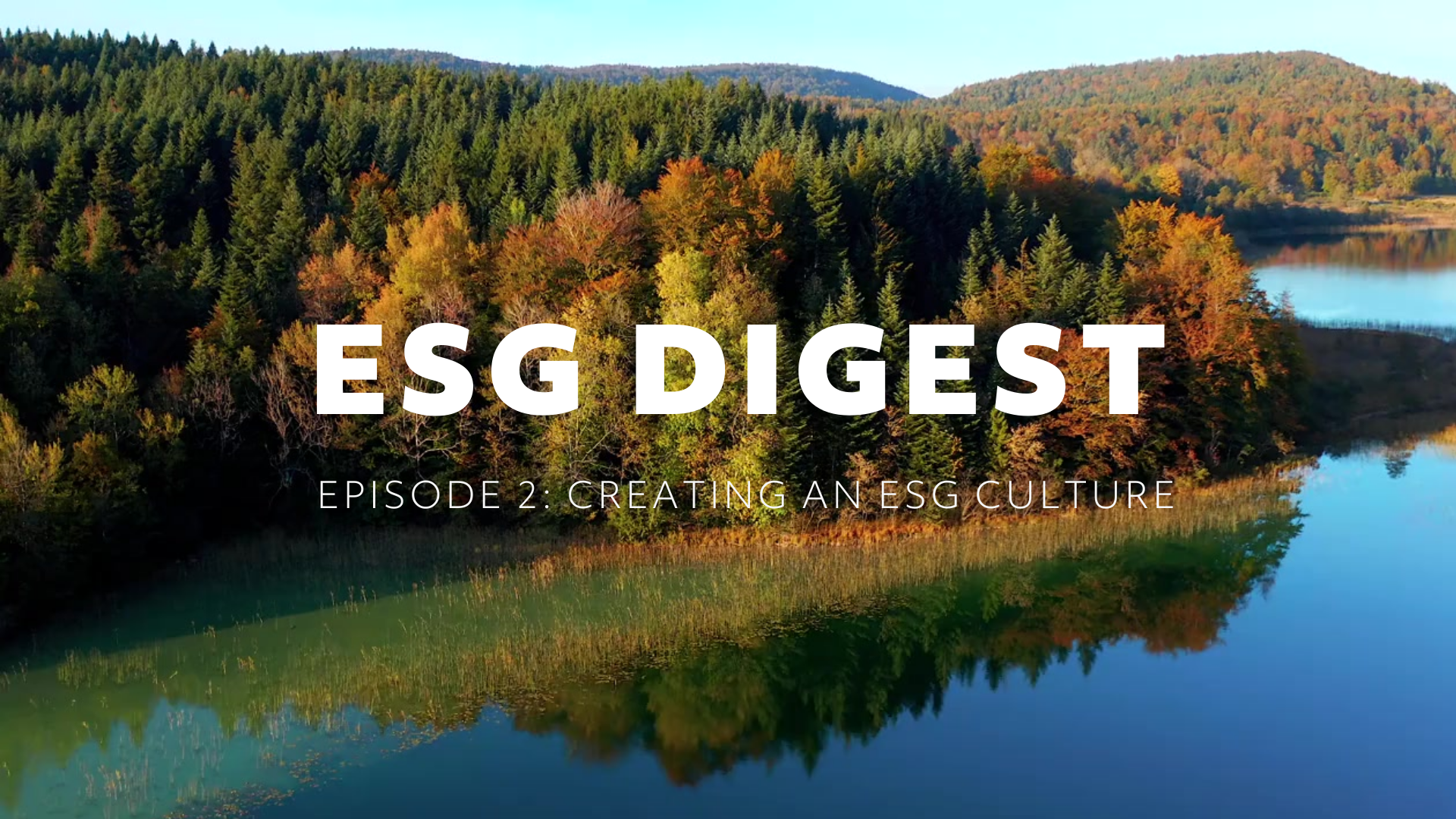 ESG Digest video