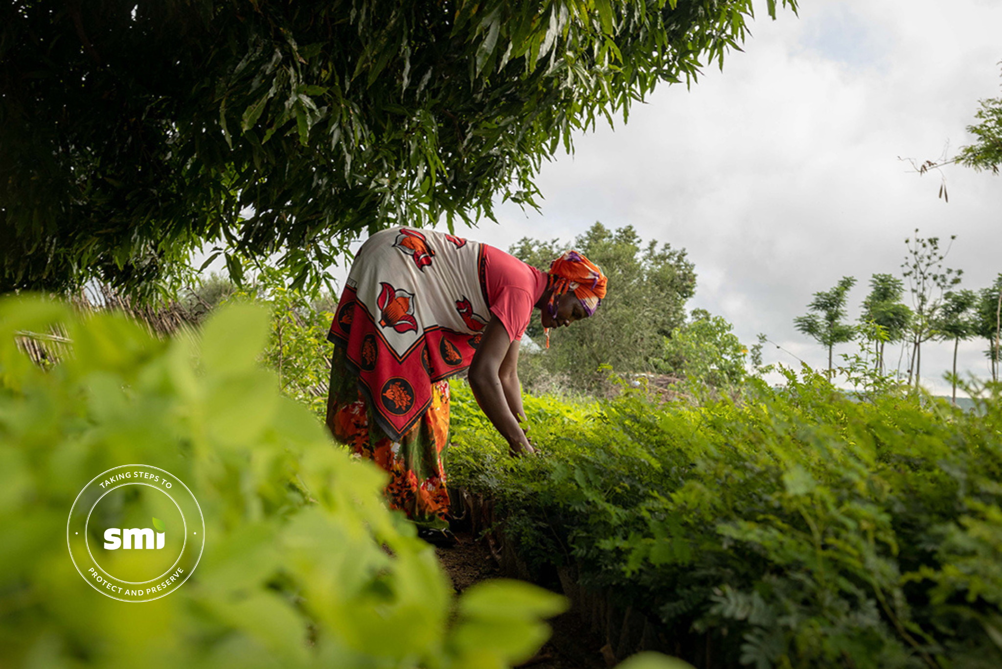 Sustainability & Social Impact