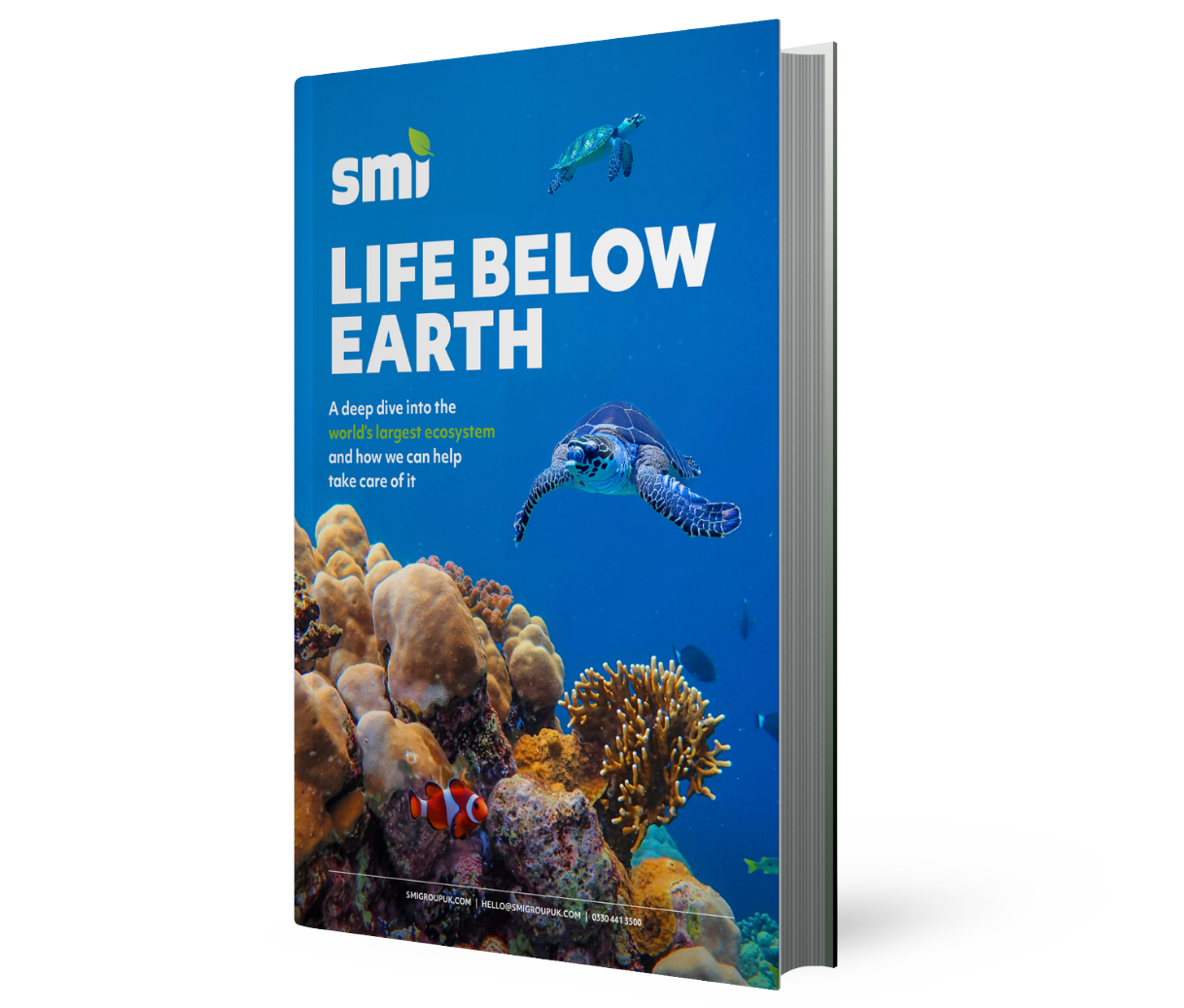 life below earth