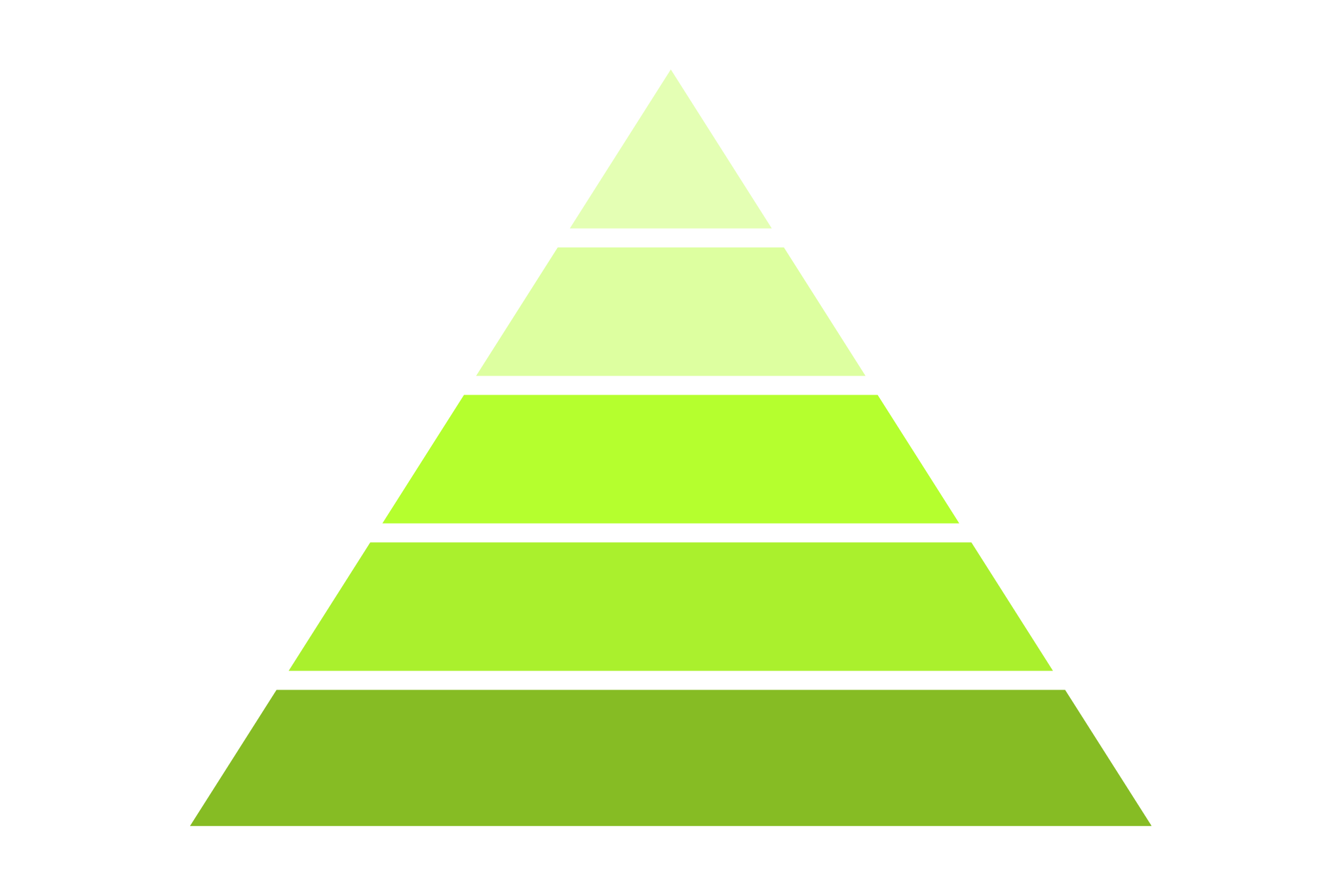 What are the RSPS Key pillars?