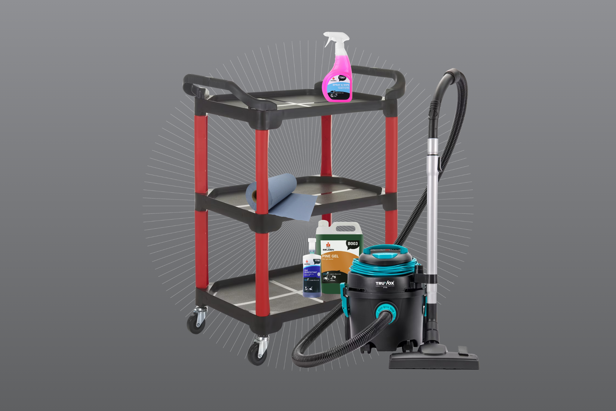 Cleaning and Hygiene Products
