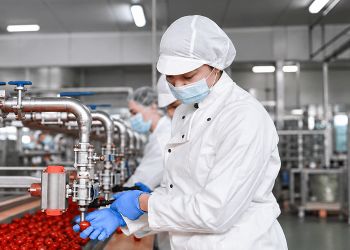 Food production worker in protective clothing and hairnet.