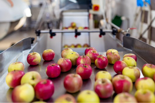 Fruit & Vegetable Processing