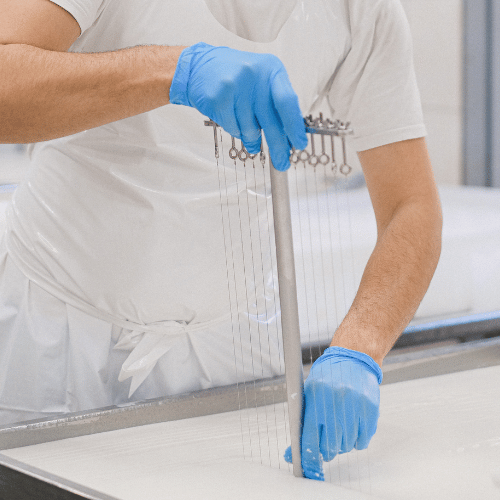 Cheese production PPE.