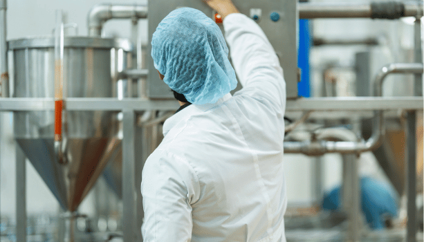 Dairy Processing Workwear.
