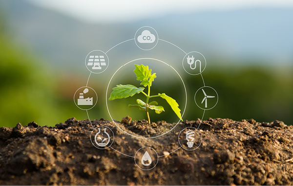 Sectors - Waste & Environmental - Resource Recovery