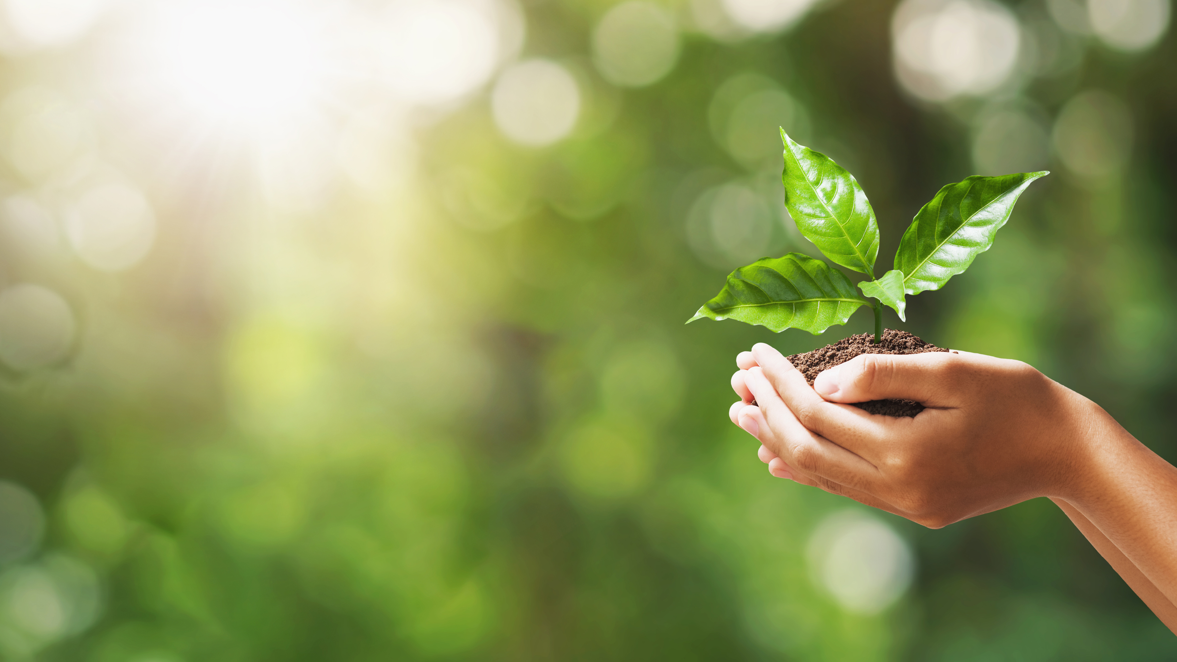 SMI: Sustainability