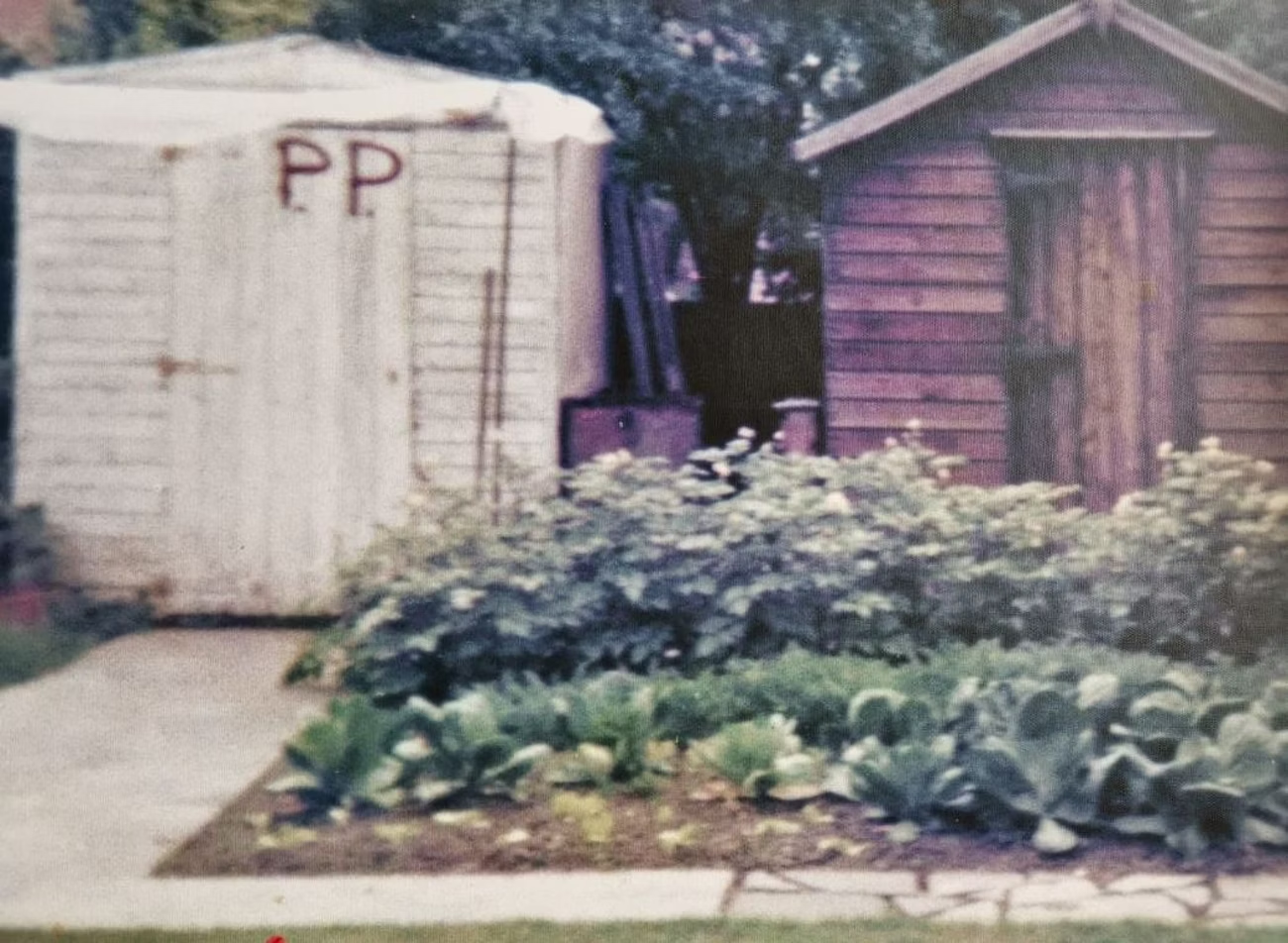 SMI 1981